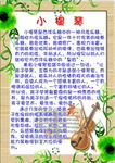 小学特色活动简介