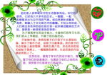 小学特色活动简介