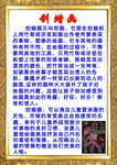 小学特色活动简介
