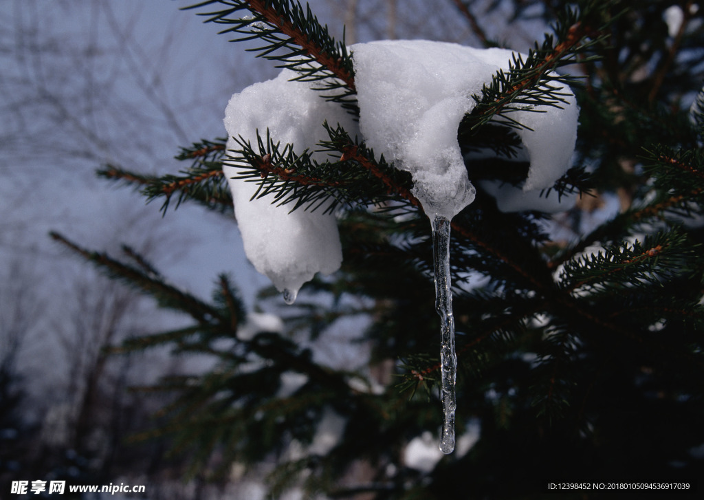 积雪