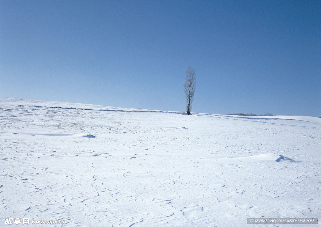 茫茫雪原