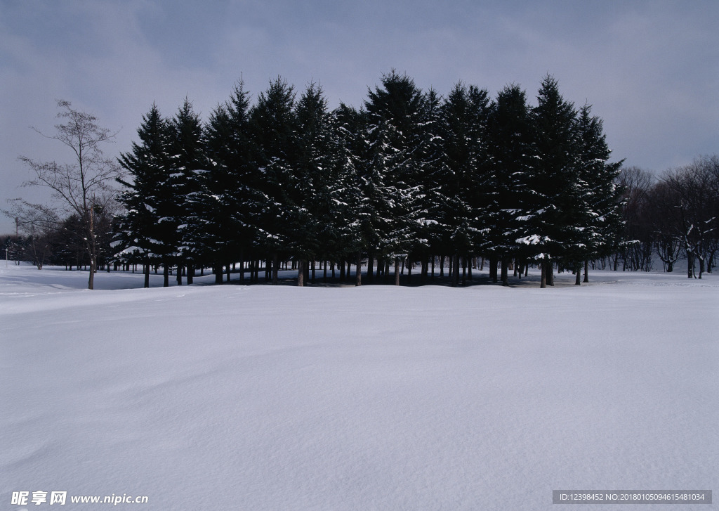 茫茫雪原