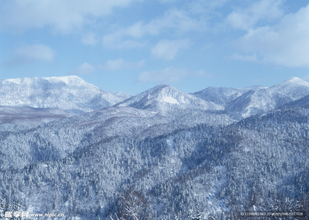 茫茫雪原
