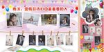 宝宝展架