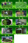 制茶工序