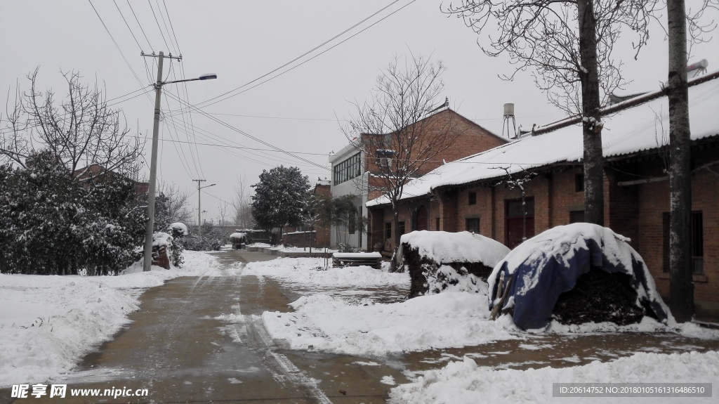 乡村道路雪景