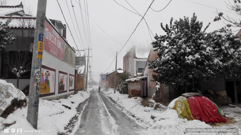 雪天下的乡村道路