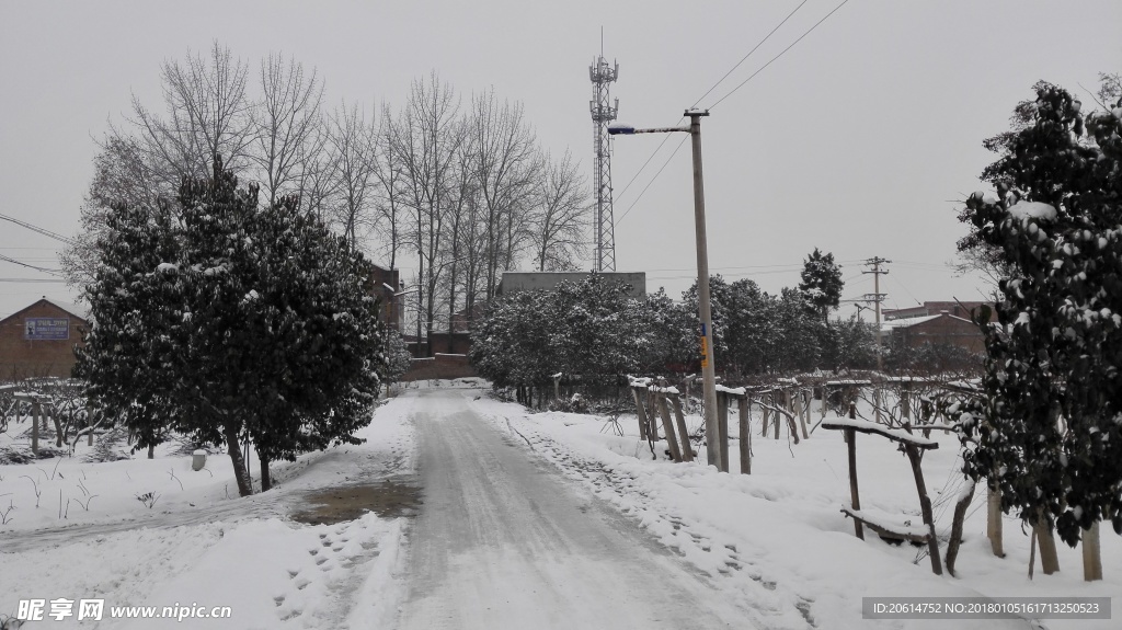 冬日里的乡村雪景