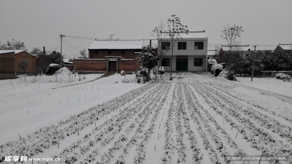 冬日里的乡村雪景