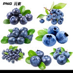蓝莓免扣元素