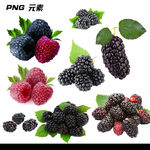 桑葚免扣元素
