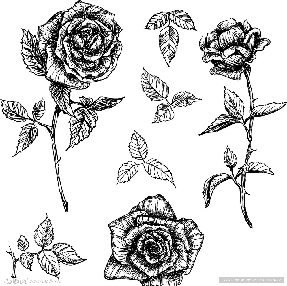 手绘花