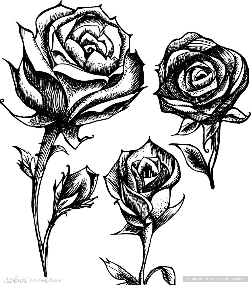 手绘花