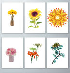 免抠图菊花元素PNG