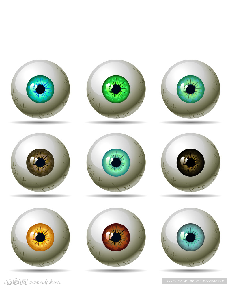 彩瞳眼球矢量