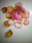 残花