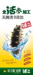 海参海报