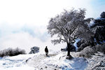 华山雪景