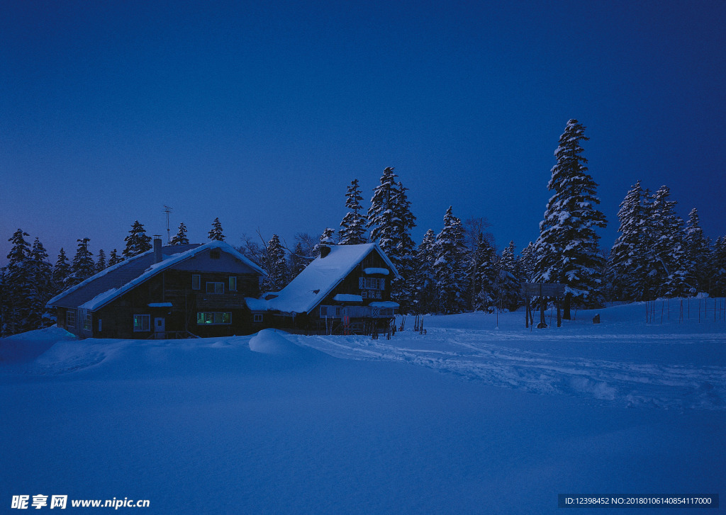 雪原夜景