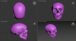 3D模型骷髅头骨