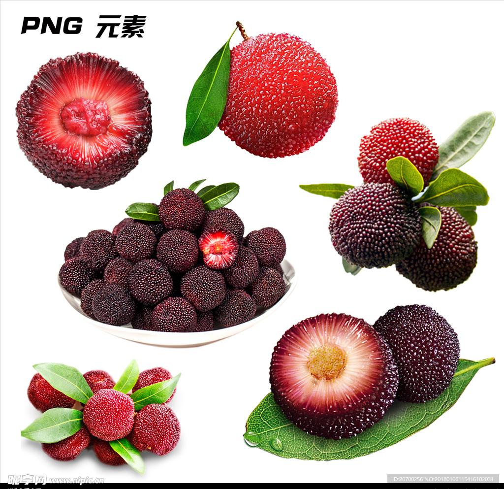 杨梅免扣元素