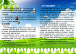 环保宣传手册内页