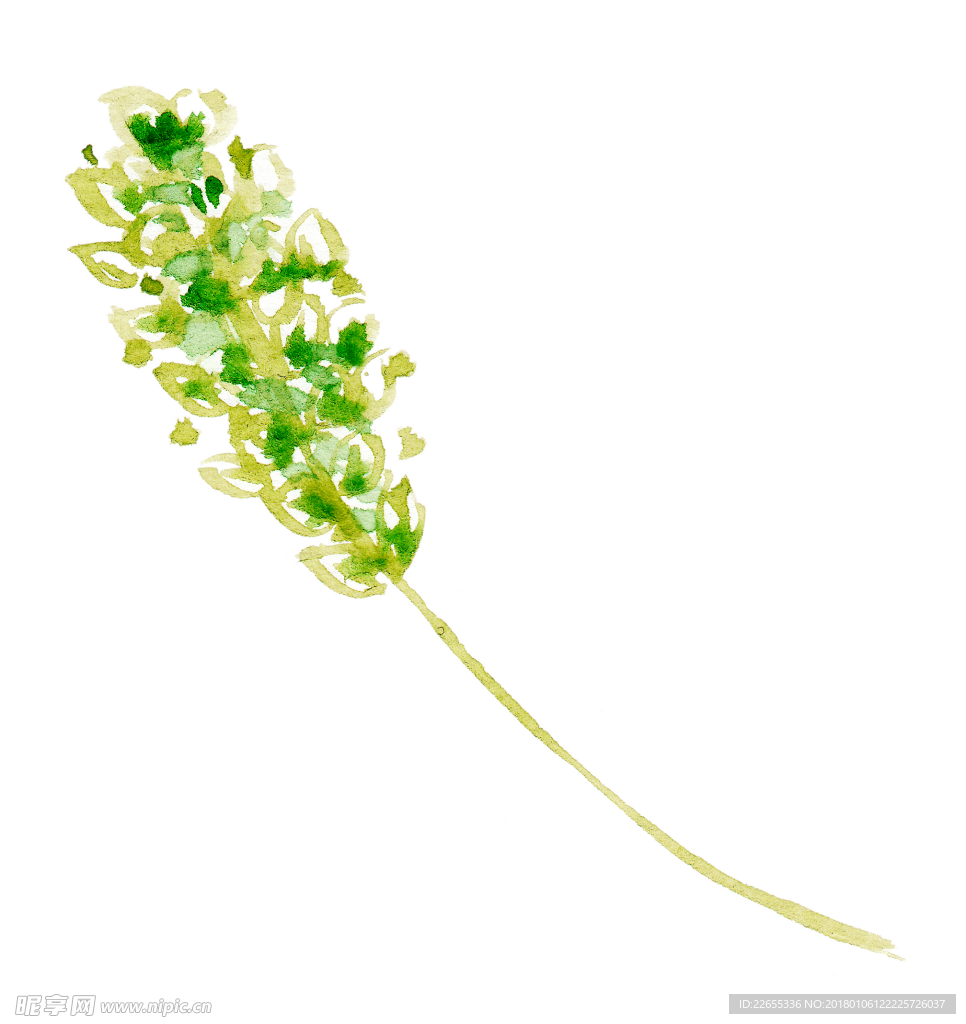 花绘画