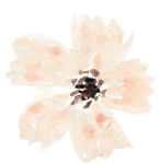 花绘画