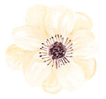 花绘画