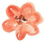 花绘画