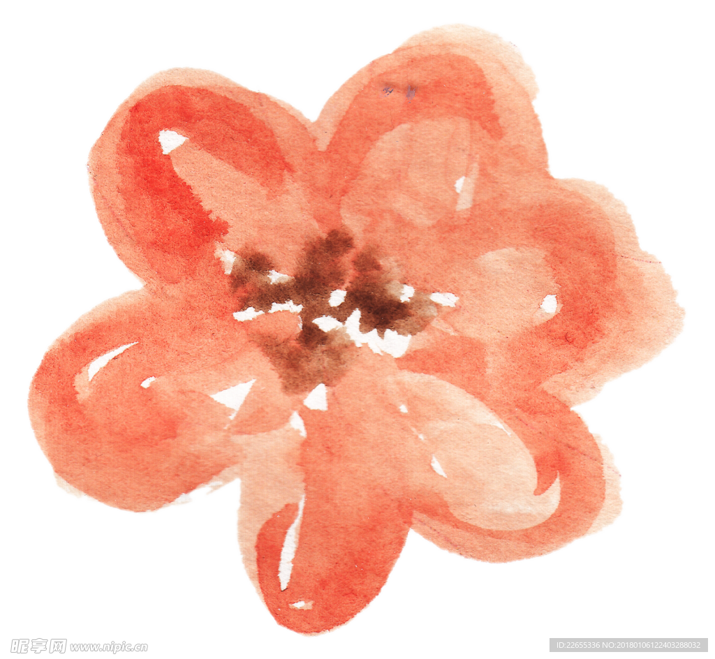 花绘画