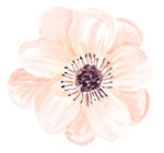 花绘画