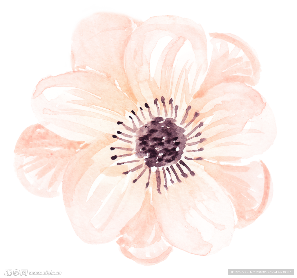 花绘画