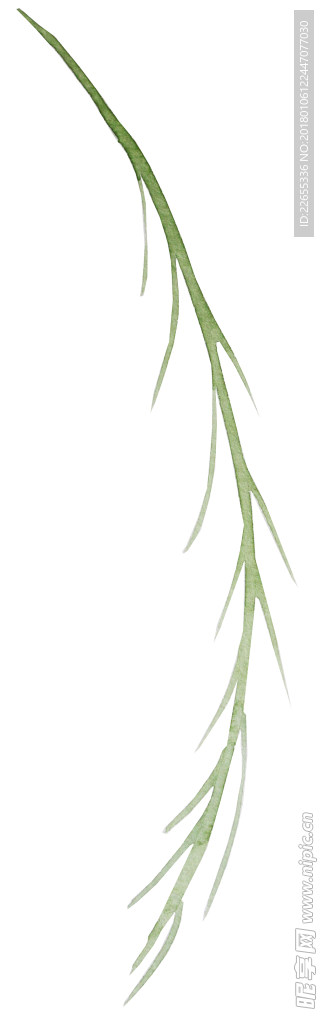 花绘画