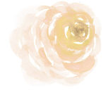花绘画