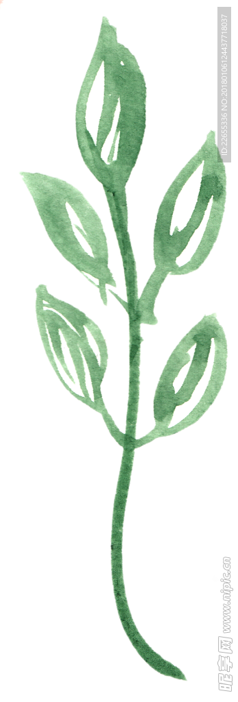 花绘画