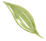 花绘画