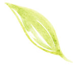 花绘画