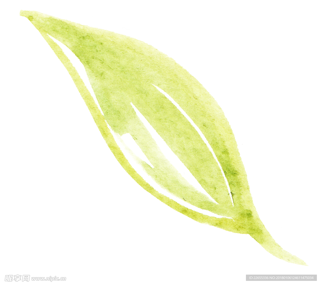 花绘画