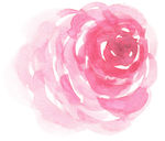 花绘画