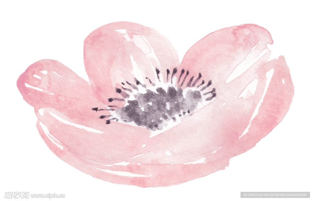 花绘画