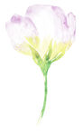 花绘画