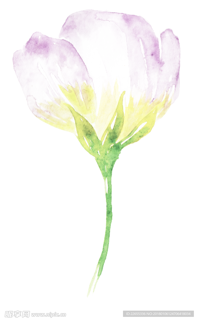 花绘画