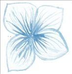 花绘画