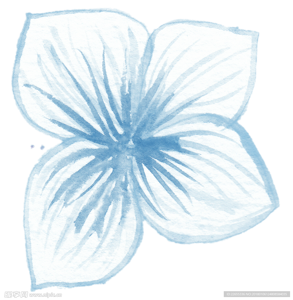 花绘画