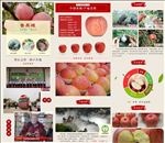 万荣苹果详情页图片