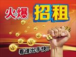 招租广告 火爆招租 招租背景