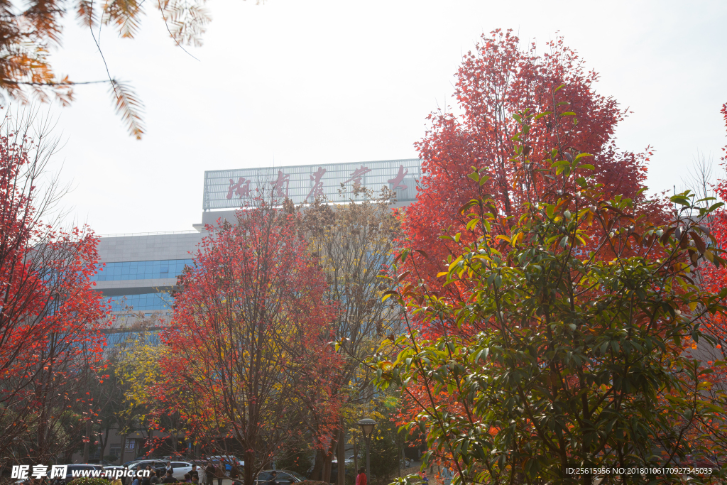 湖南农业大学