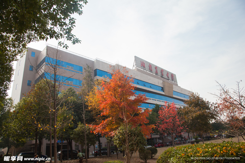 湖南农业大学