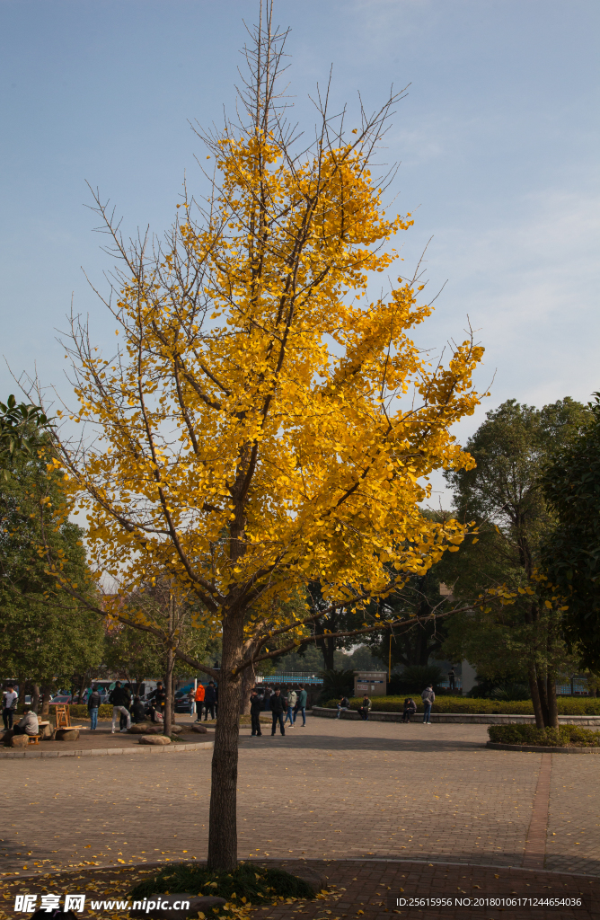 湖南农业大学